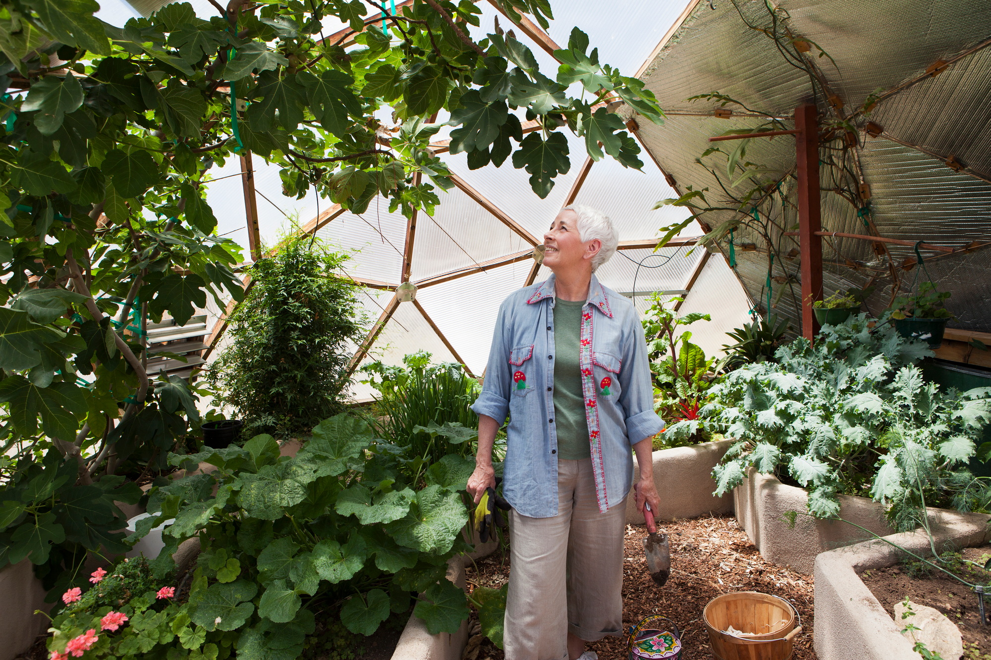 Smiling senior woman gardening in a geodesic dome, climate controlled glass house